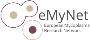 Logo eMyNet