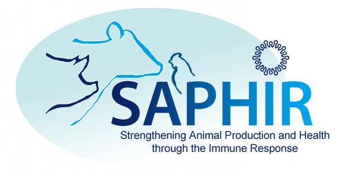 logo EU project H2020 SAPHIR