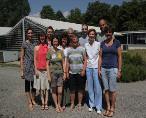 The Torino Phytoplasma – Host Interaction Group