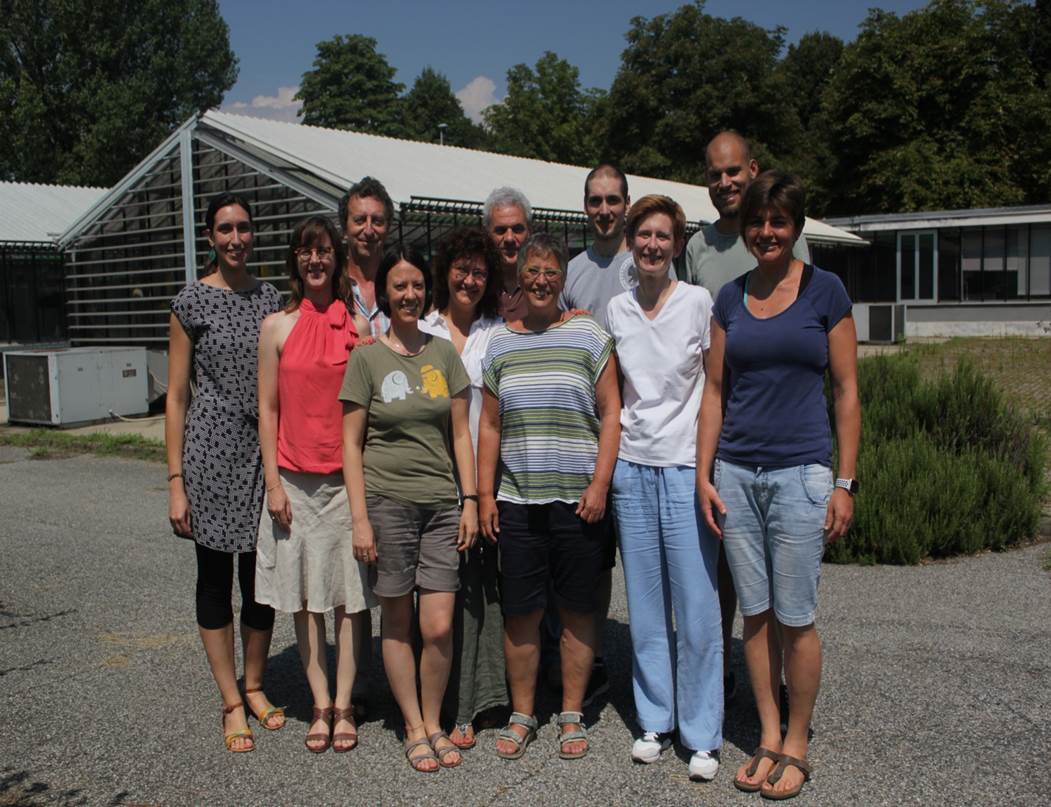 The Torino Phytoplasma – Host Interaction Group