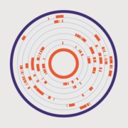 PLOS genetics cover